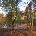 Geografisches Arboretum Rombergpark am 17,102018 (3)